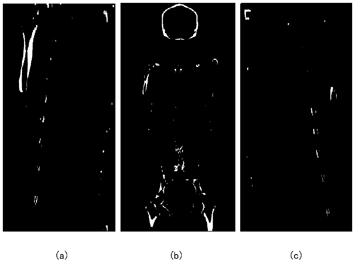 An image segmentation method based on appearance dictionary learning and shape sparse representation