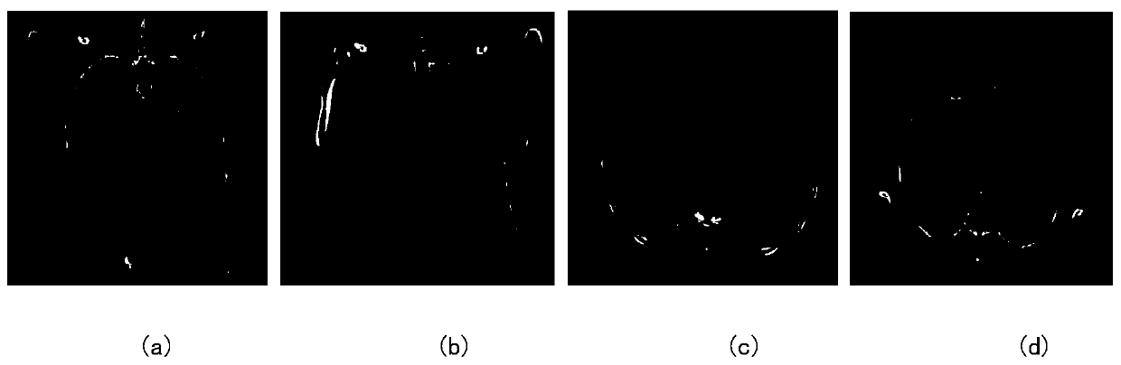An image segmentation method based on appearance dictionary learning and shape sparse representation