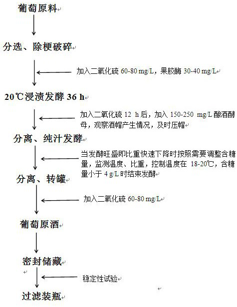 A kind of brewing method and application of Xiangyu dry white wine