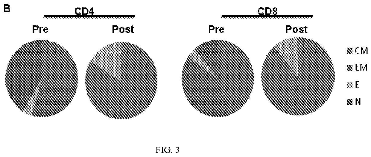 Use of Post-Transplant Cyclophosphamide Treated Allogenic Marrow Infiltrating Lymphocytes to Augment Anti-Tumor Immunity