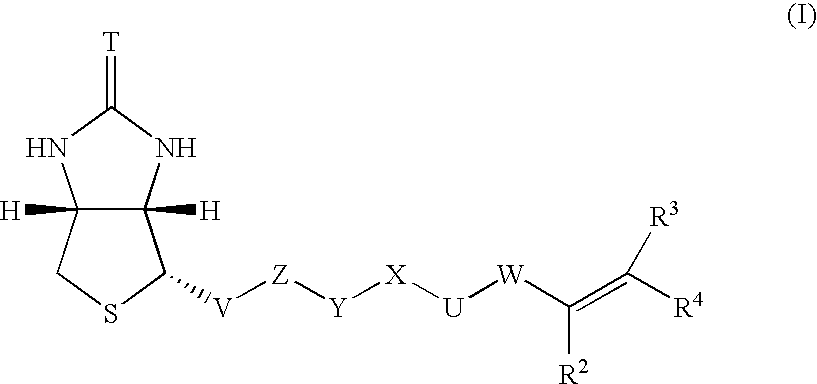 Polymerizable biotin derivatives, biotin polymer, and polymer responsive to avidin stimulation