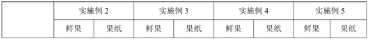 Berry fruit paper and preparation method thereof