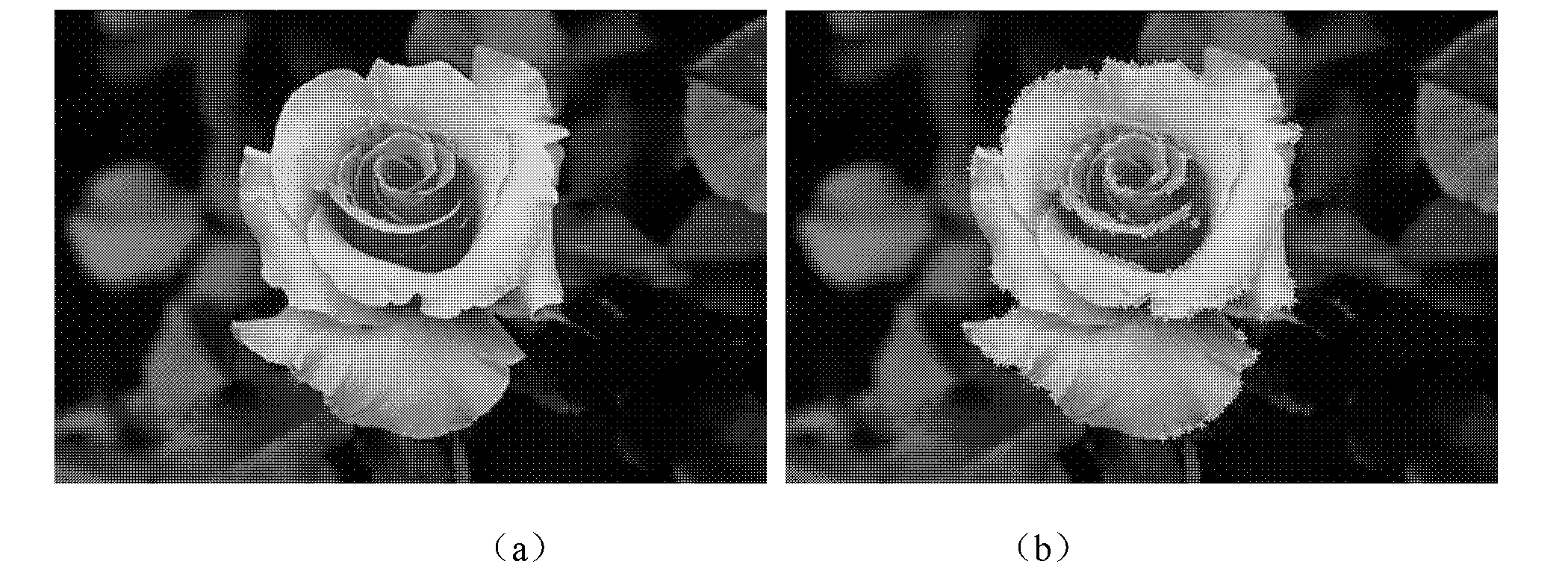 Image sorting method based on local colors and distribution characteristics of characteristic points