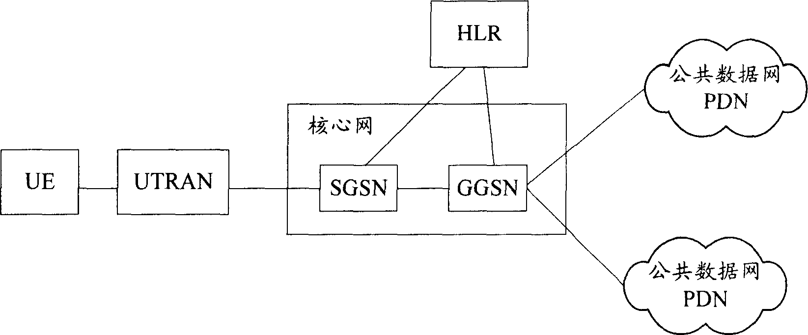 Public data networking access method and system