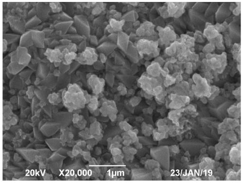 Graphite phase carbon nitride modified antimony doped tin dioxide composite photoelectric catalysis electrode and preparation method and applications thereof