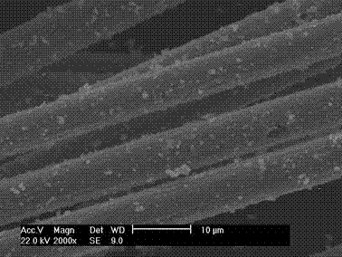Surface metallization treatment method for carbon fibers