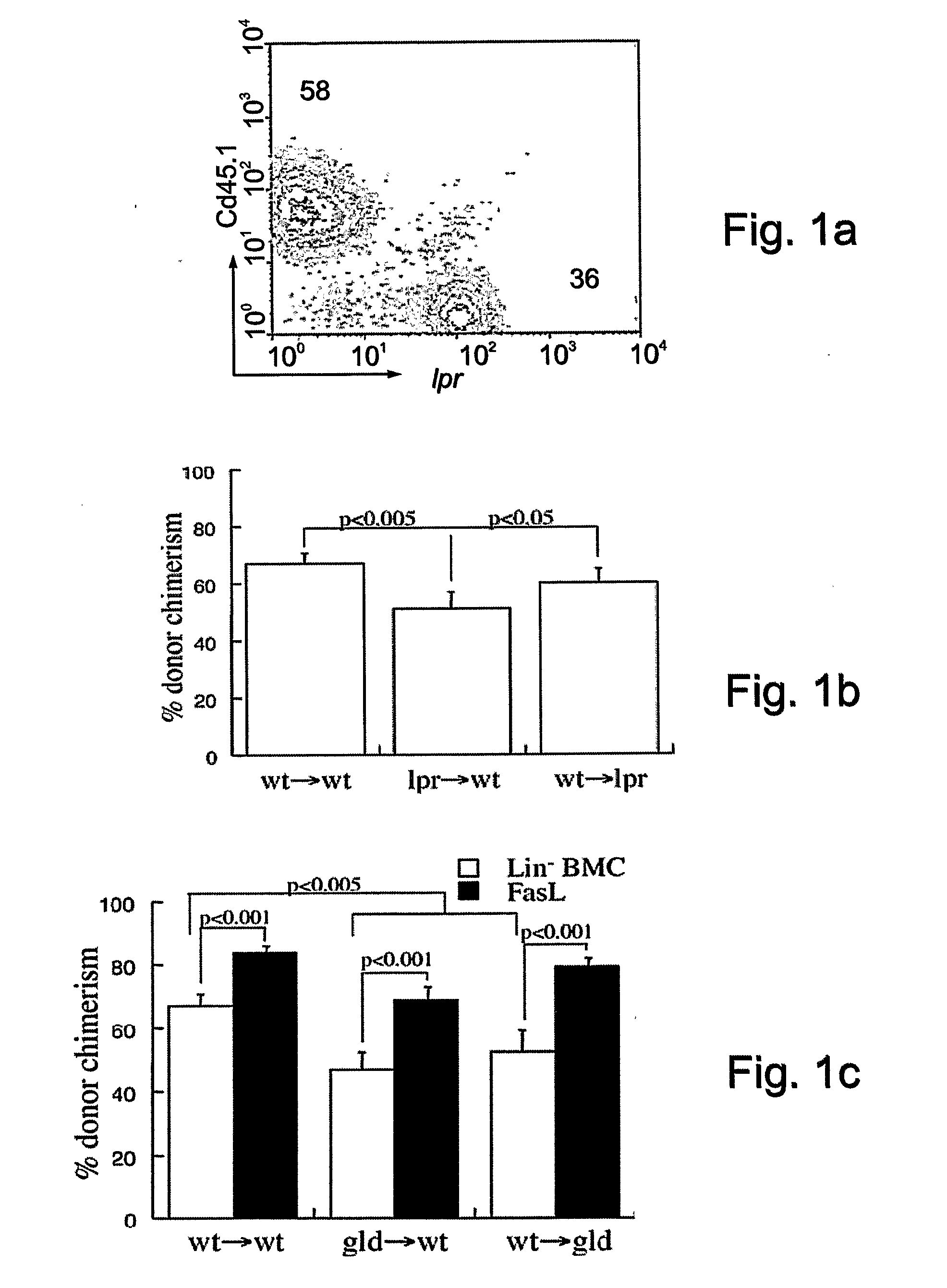 Methods of selecting stem cells and uses thereof