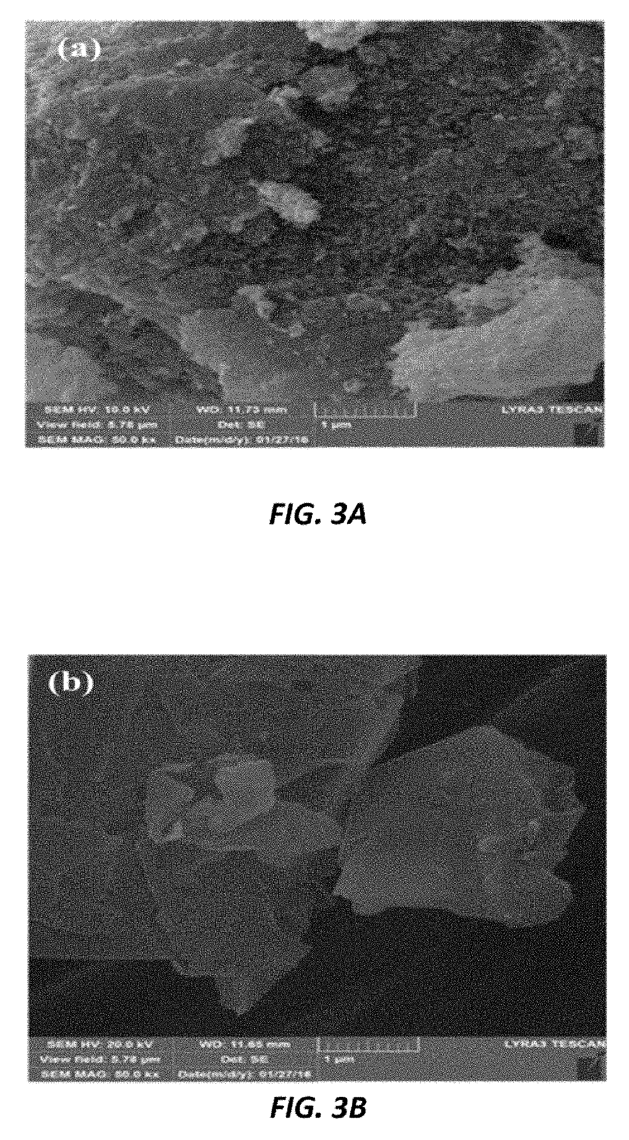 In-situ polymerization method for producing a polyethylene nanocomposite