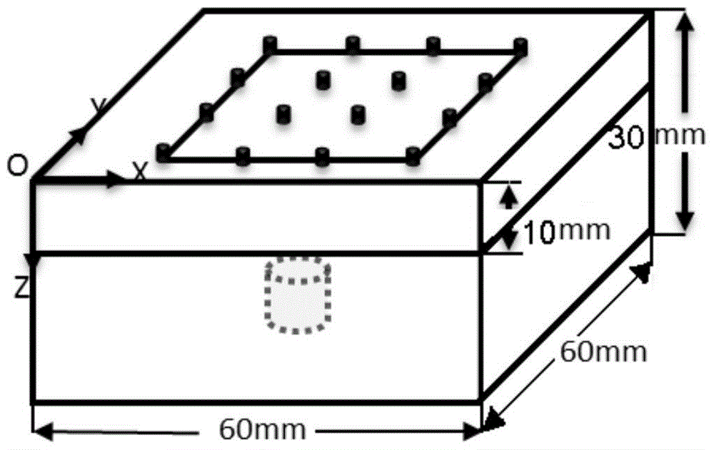 A self-guided diffuse optical tomography method for near-infrared optical brain function research