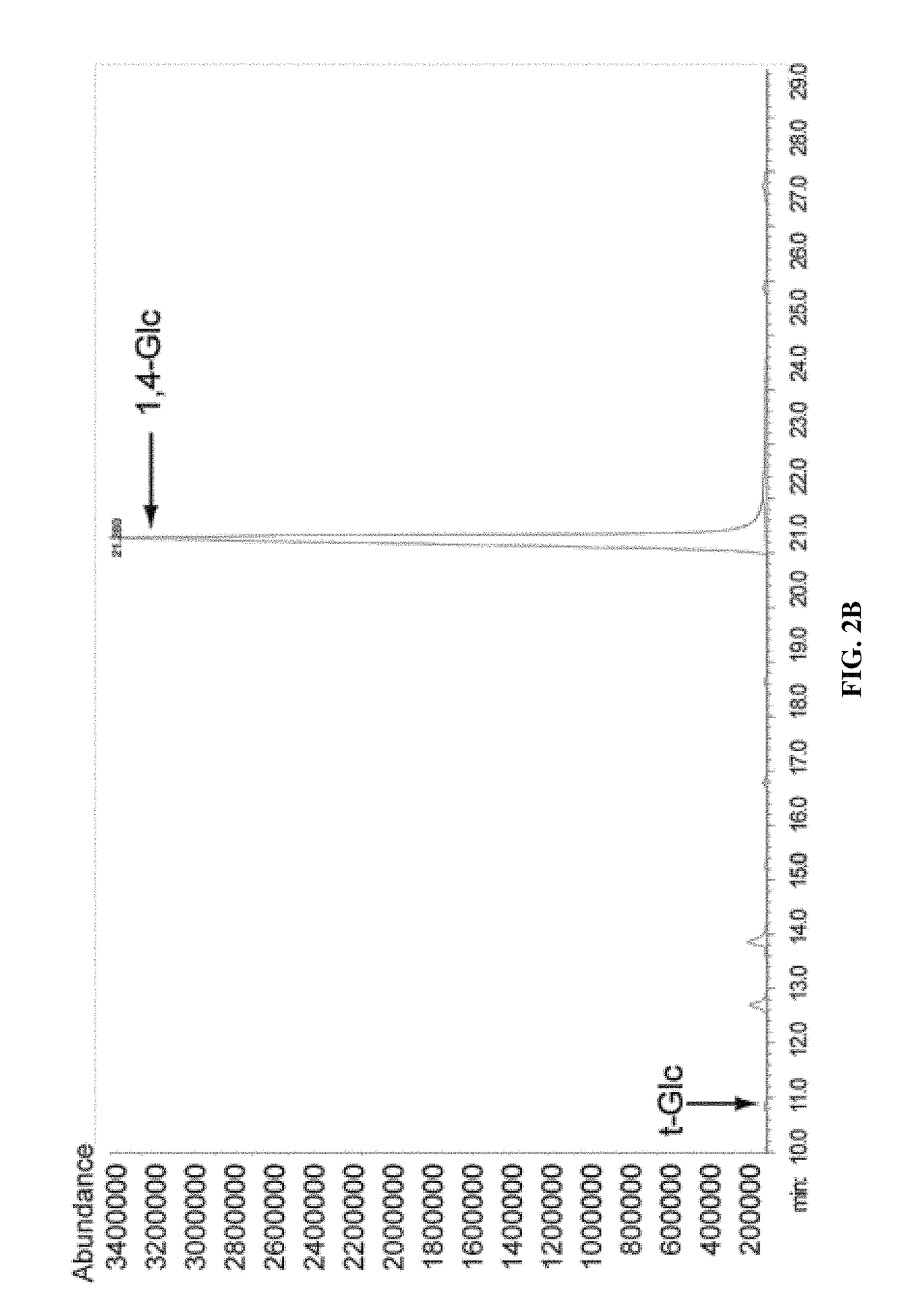 Method for synthesizing cellulose in vitro