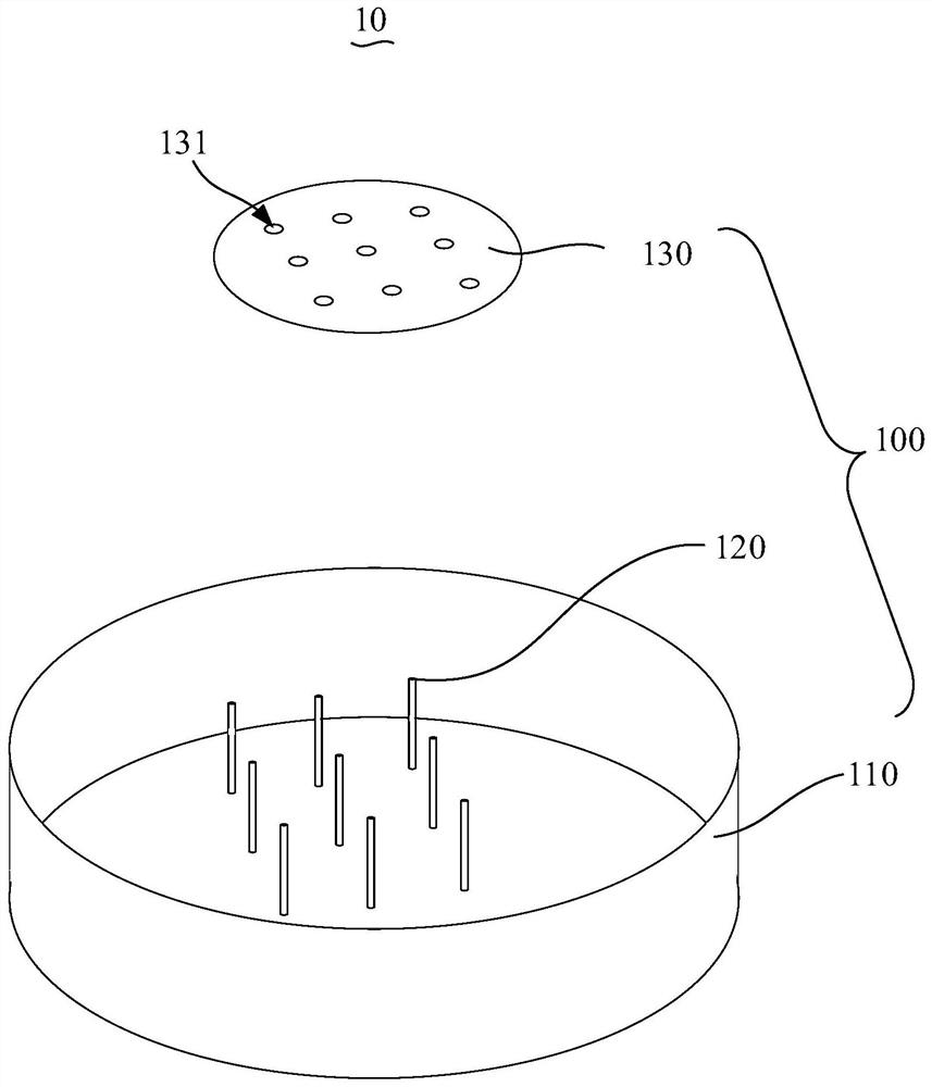 Cell culture container and primary cell culture method