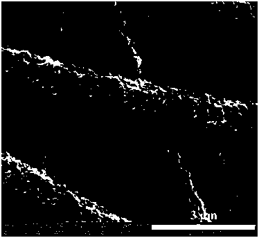 A kind of preparation method of capacitor electrode material