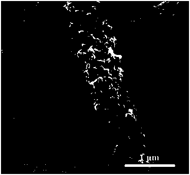 A kind of preparation method of capacitor electrode material