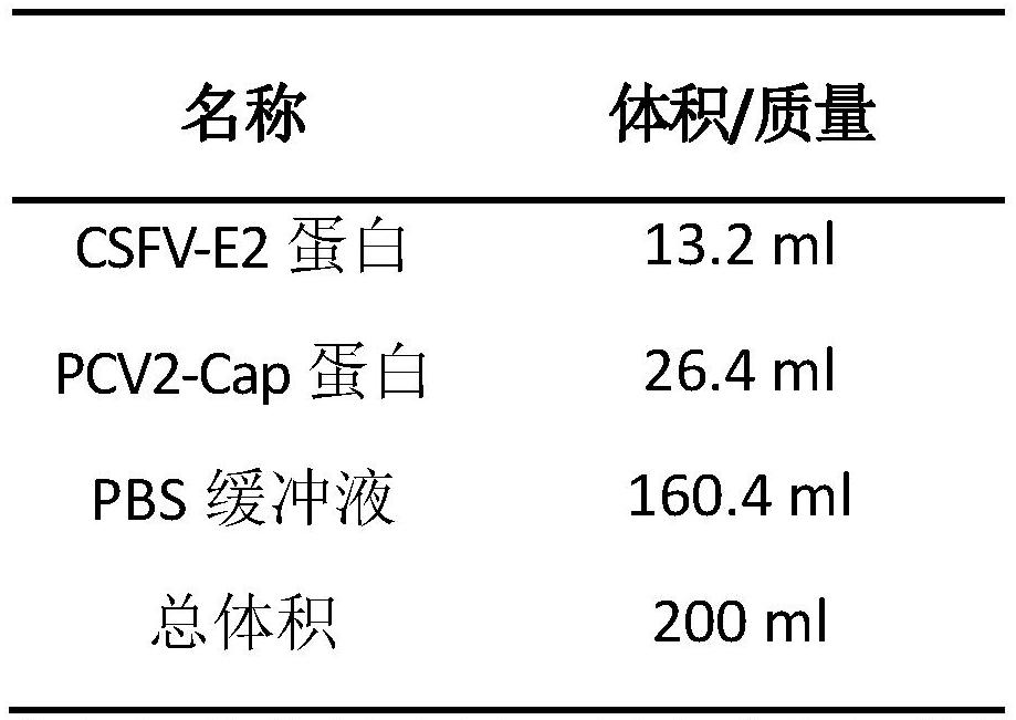 Vaccine of classical swine fever-porcine circular double subunit and its preparation method and application