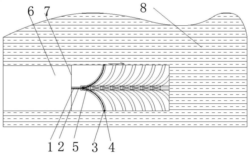 Feather-shaped directional soft rock tunnel advanced grouting pre-reinforcing structure and method