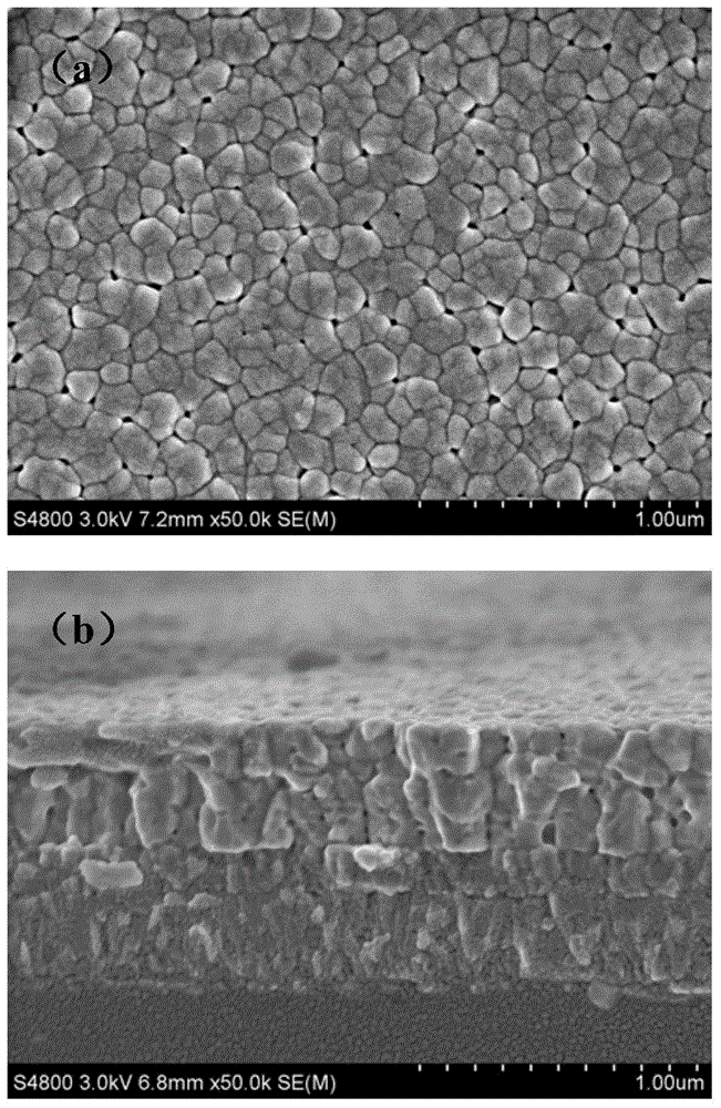 Laminated BiFe(0.97-x)Mn0.03TMxO3/CoFe2O4 multiferroic composite film and preparation method thereof