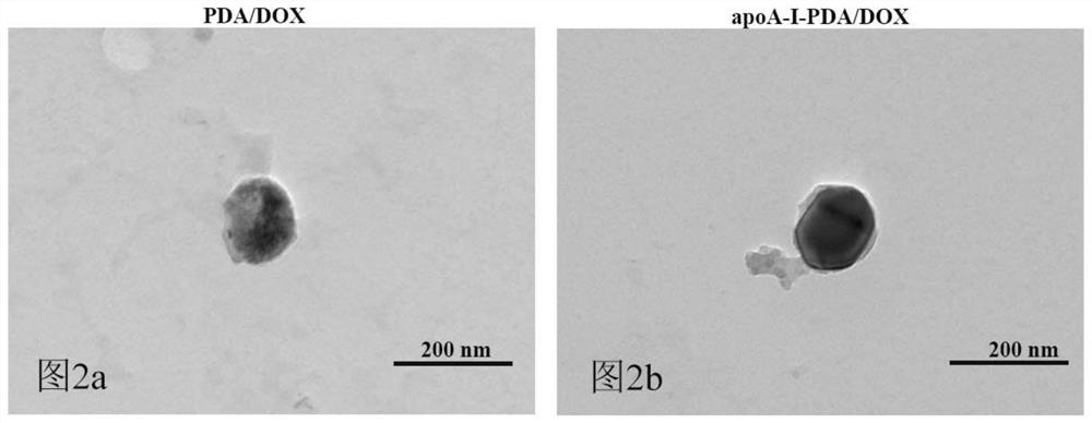 A kind of biomimetic dopamine polymerized drug-loaded nano-delivery system and its preparation method