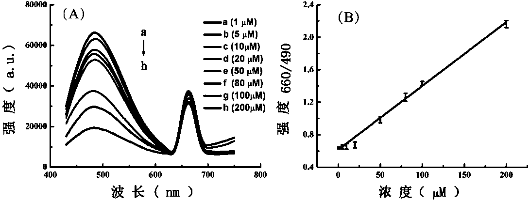 A ratio-type nano-silicon quantum dot fluorescent probe and its preparation method and application