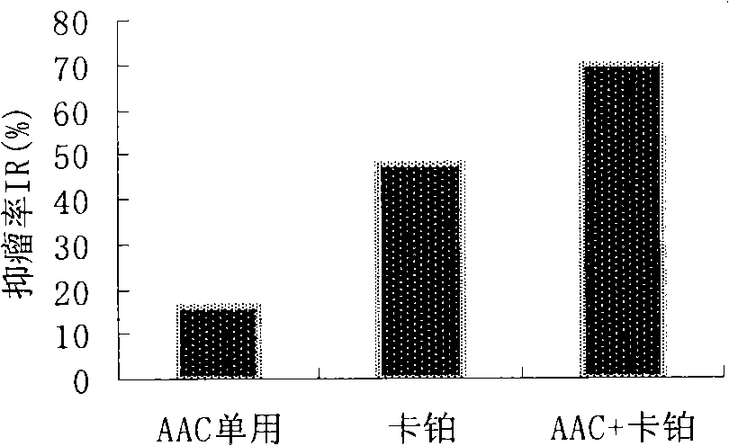 Ampelopsin and basic amino acid solubilizing system
