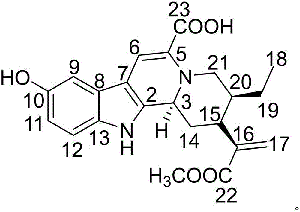 Pharmaceutical composition of amikacin sulfate and medical application of pharmaceutical composition