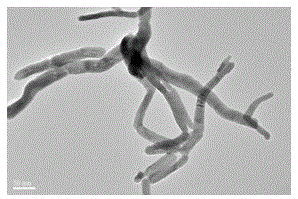 A kind of preparation method of ag2e nanowire