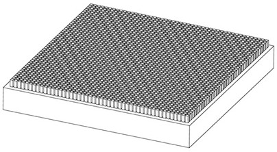 Bionic gradient super-hydrophobic structure design method based on Marangoni effect