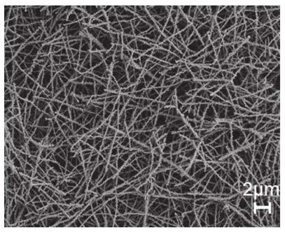 Method for preparing nano zirconium boride ceramic fibers from organic zirconium source, ceramic fibers and application