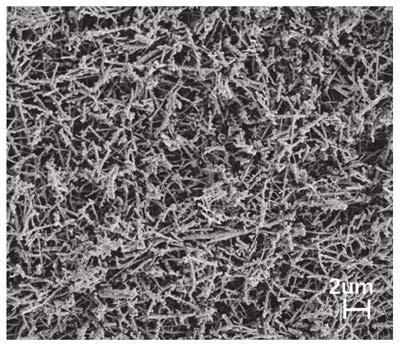 Method for preparing nano zirconium boride ceramic fibers from organic zirconium source, ceramic fibers and application