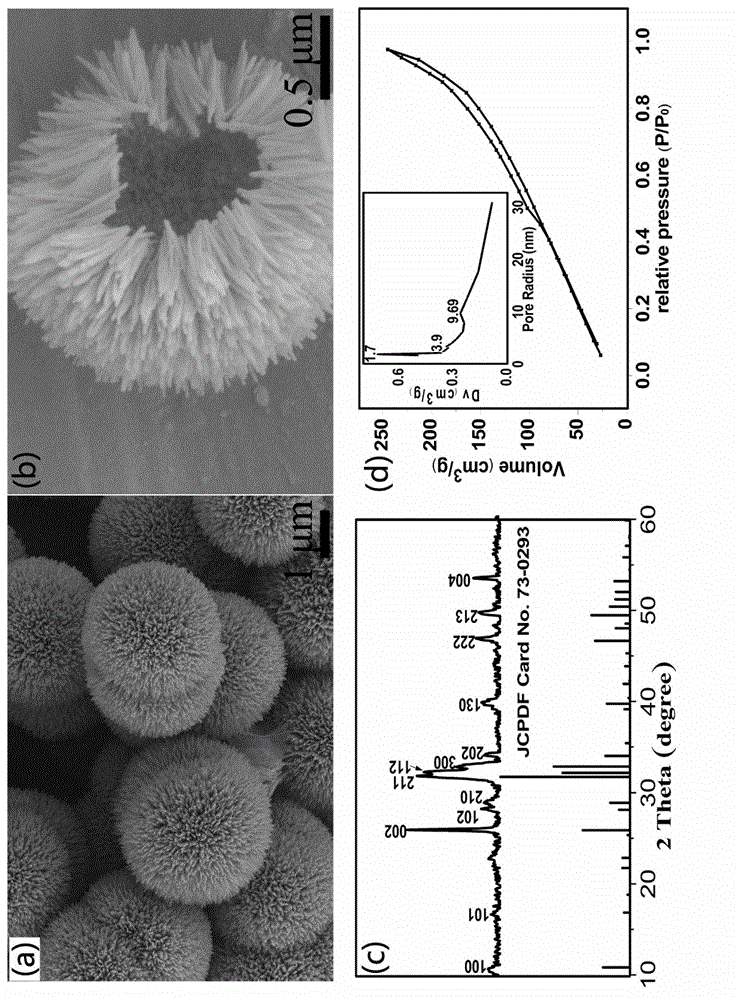 Hollow hierarchical hydroxyapatite microspheres and preparation method and application thereof
