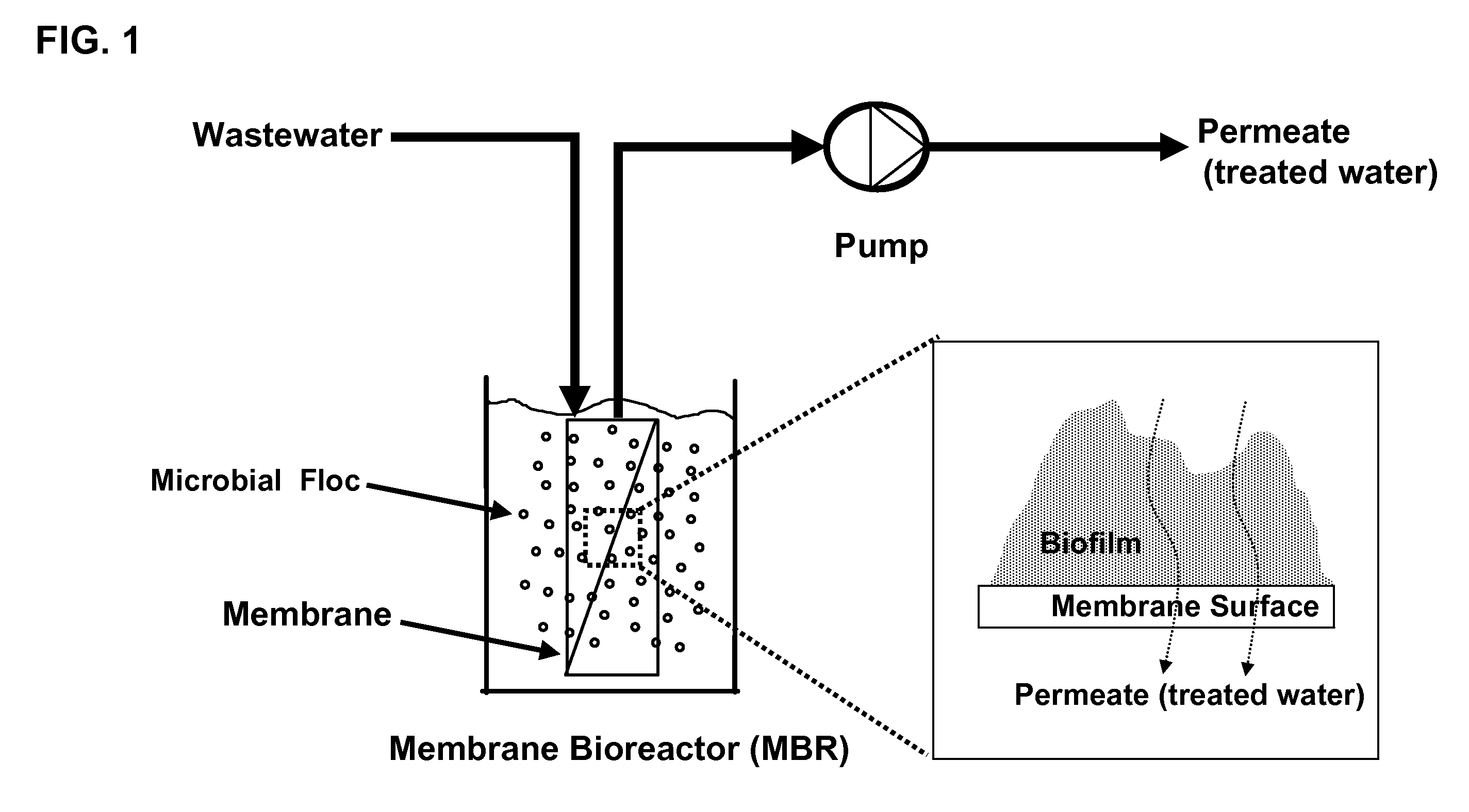 Magnetic carrier comprising enzyme for inhibiting biofilm formation immobilized thereon, and membrane bioreactor system and method for inhibiting biofilm formation using the same