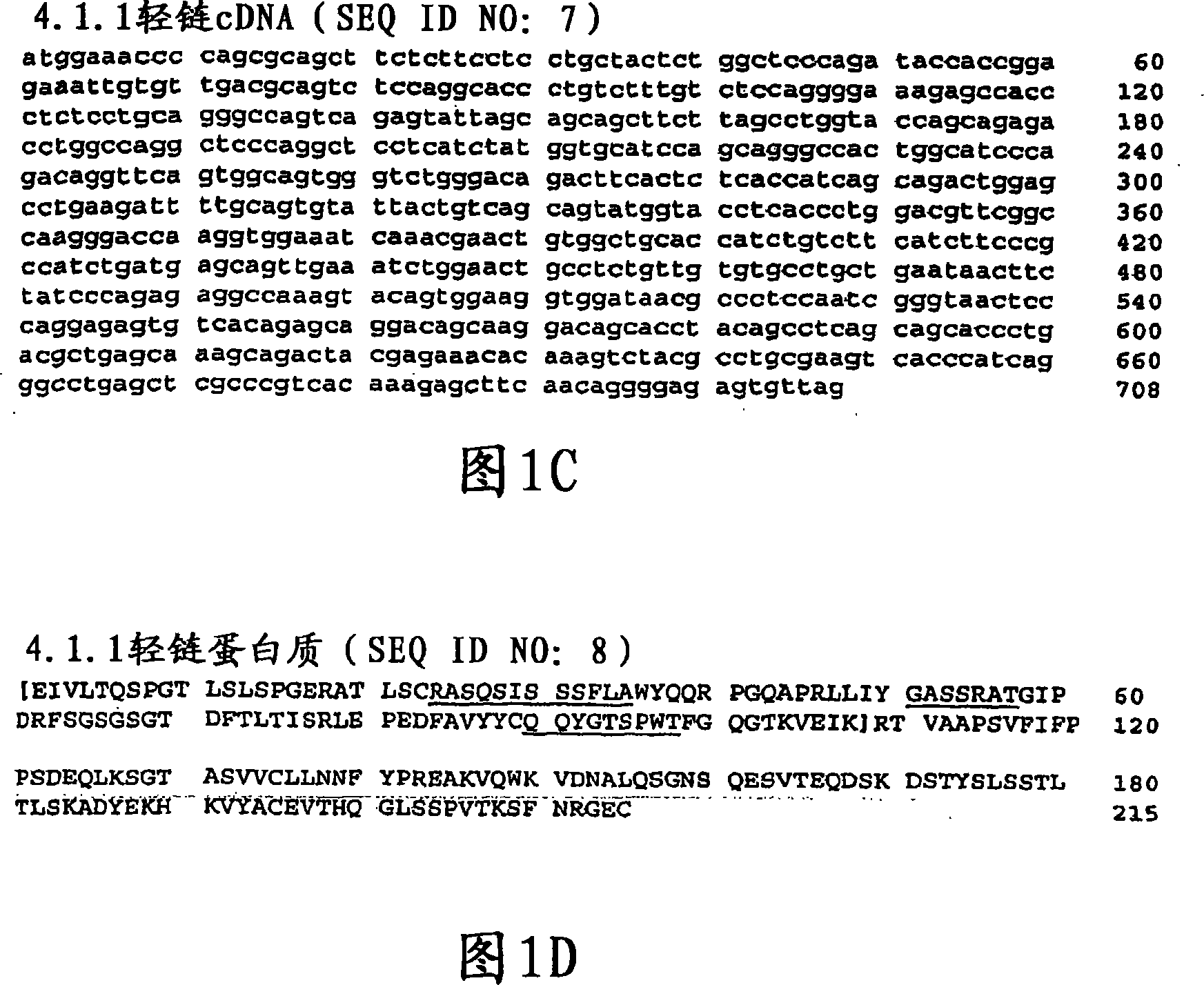 Anti-CTLA4 antibody and indolinone combination therapy for treatment of cancer