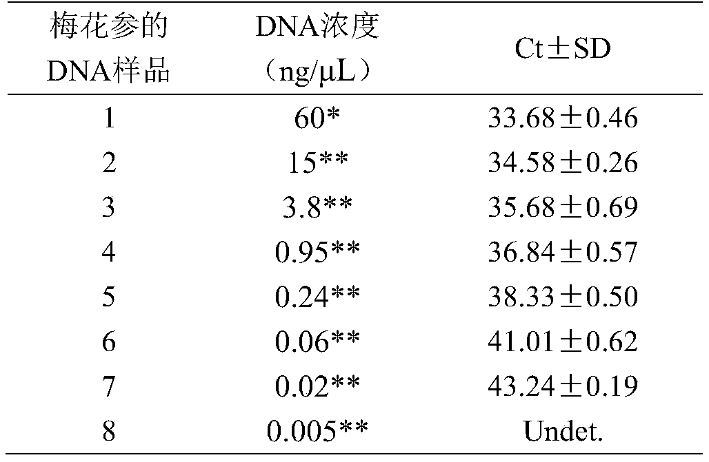 Fluorescence PCR detection method of Thelenota ananas, and primers and probe for detecting Thelenota ananas