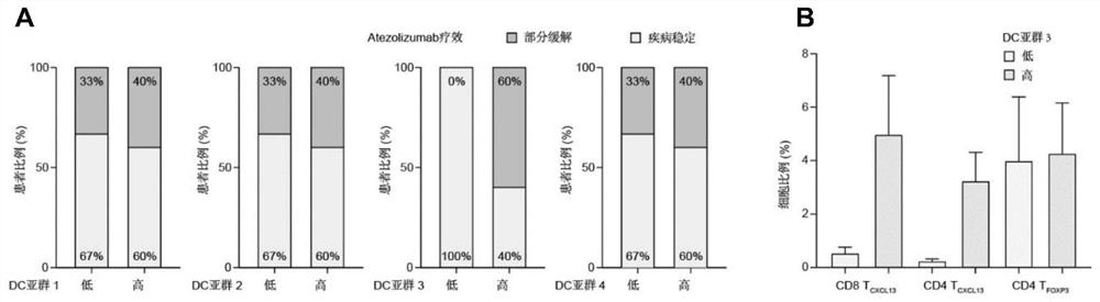 Detection method of triple negative breast cancer immunotherapy curative effect prediction marker CCL19
