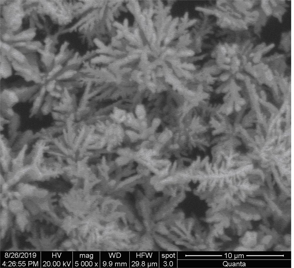 A kind of preparation method of dendritic silver powder