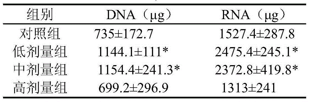 Application of wheat AX (arabinoxylan) extracts to promoting DNA (deoxyribonucleic acid) transcription of intestinal tracts