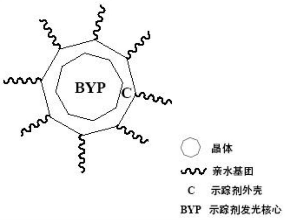 Synthesis method and application method of "BYP tracer"