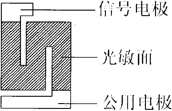 HgCdTe infrared photoconductive detector with reference element structure