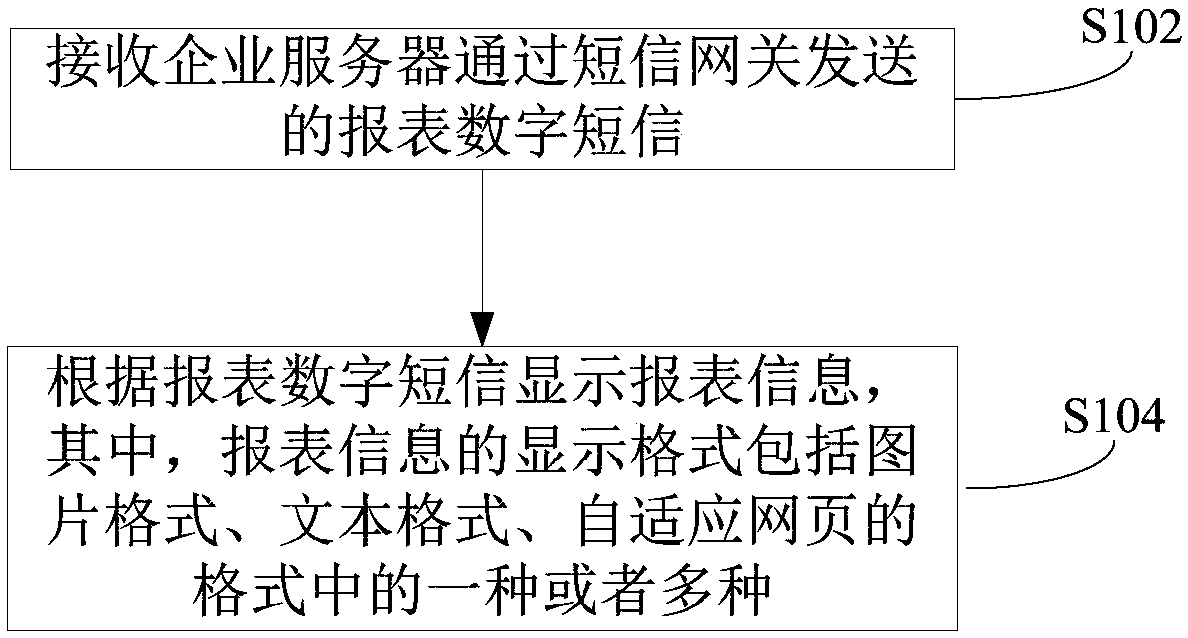 Report display method, device and system