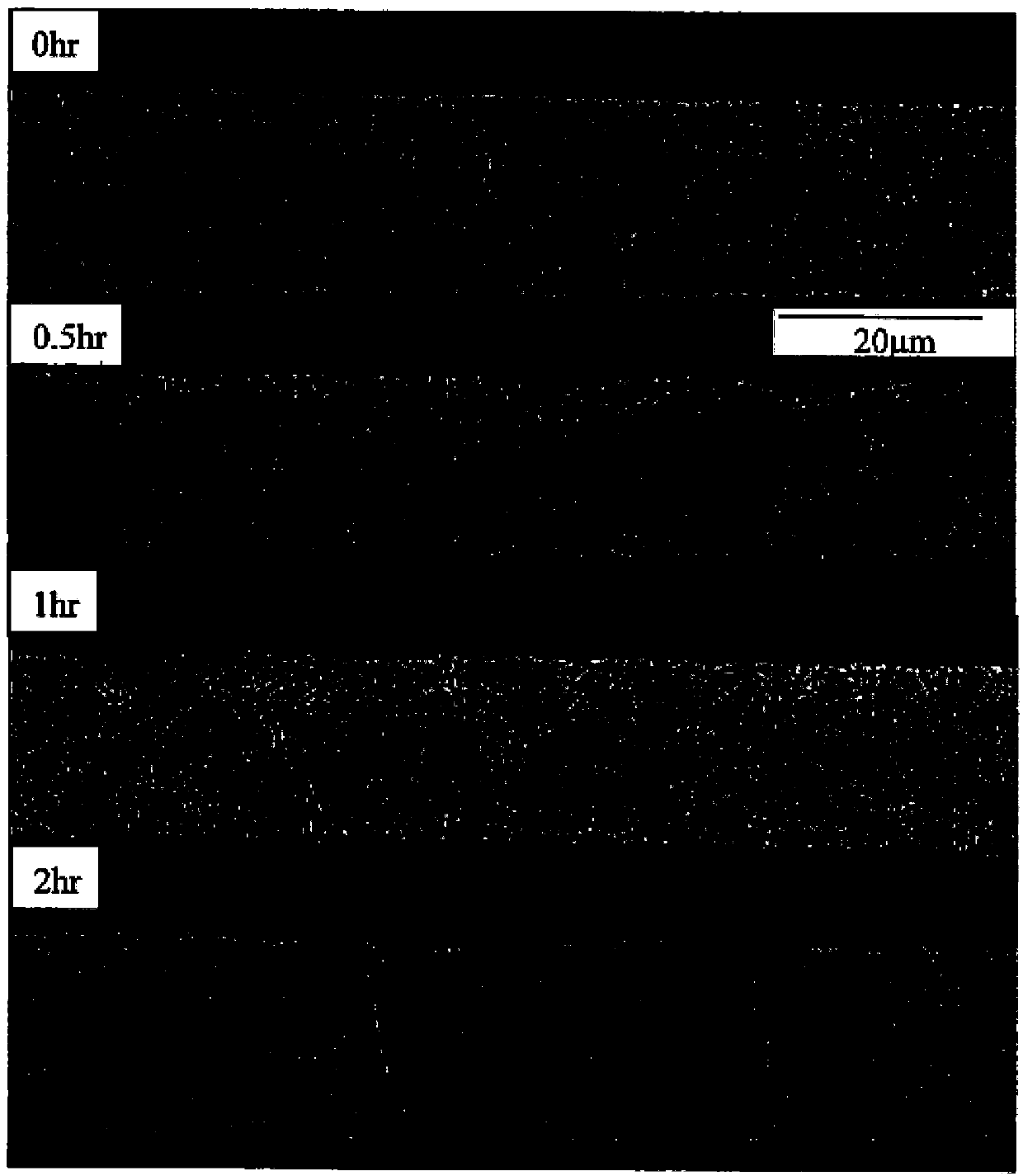 Palladium mesh alloy wire without plating thereon and method for manufacturing the same