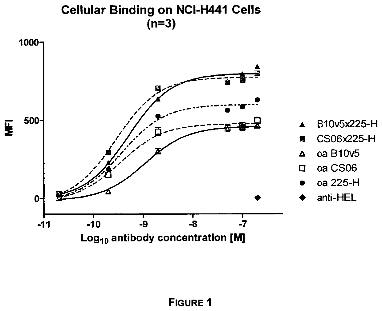 Bi-specific antibodies for enhanced tumor selectivity and inhibition and uses thereof