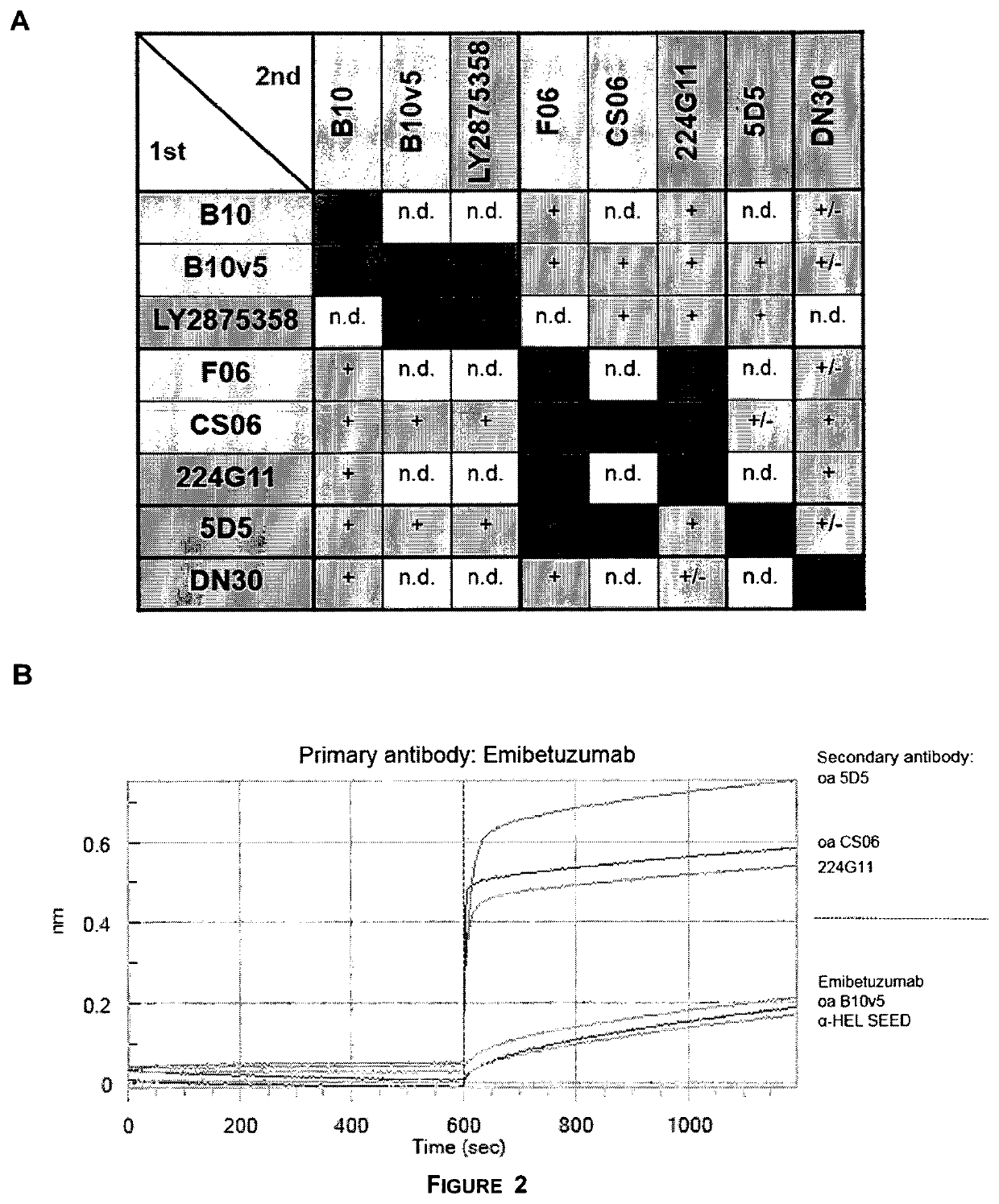 Bi-specific antibodies for enhanced tumor selectivity and inhibition and uses thereof