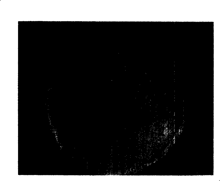 Engineered extracellular matrix preparation method