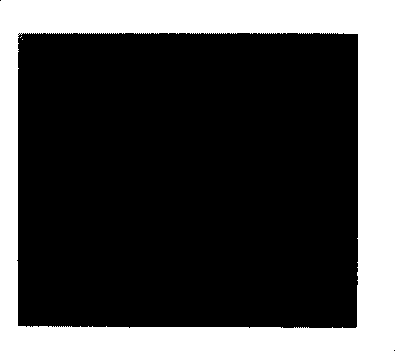 Engineered extracellular matrix preparation method