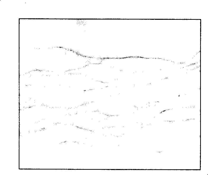 Engineered extracellular matrix preparation method