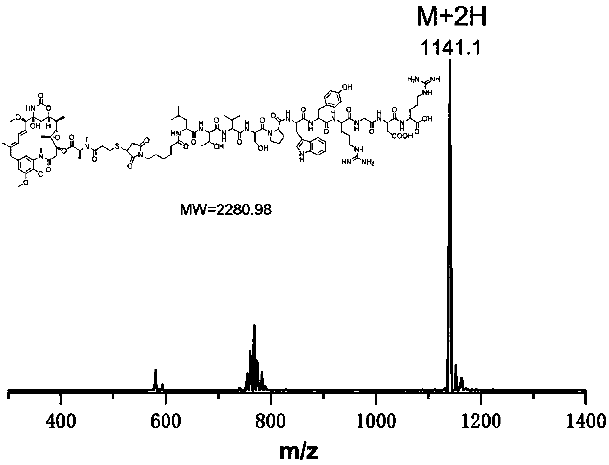 Maytansine polypeptide conjugate as well as preparation method and application thereof