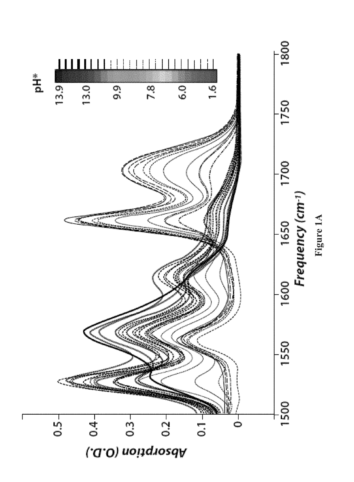 Mutagenic nucleoside analogs and uses thereof