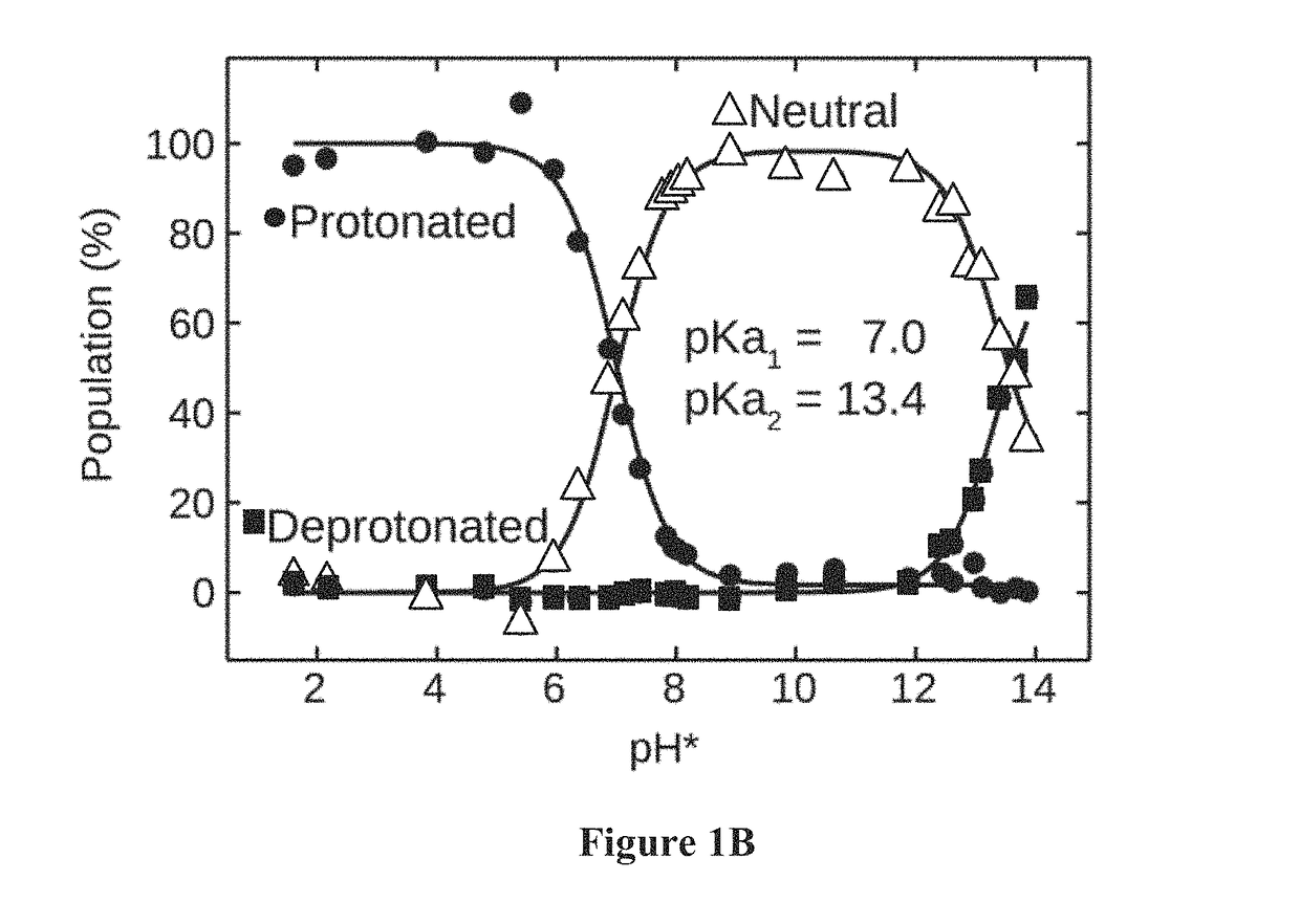 Mutagenic nucleoside analogs and uses thereof