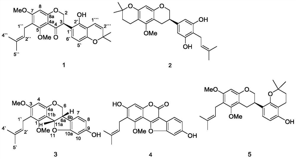 Preparation method and application of five prenyl-containing flavonoid compounds