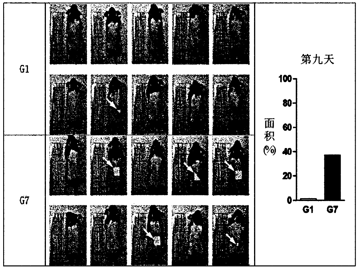 Composition for hair growth, hair nourishment or hair growth promotion containing melatonin with improved stability