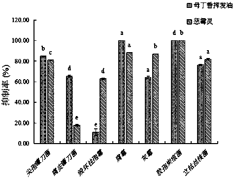 Application of fructus caryophylli volatile oil